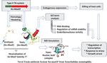 Novel Toxin-antitoxin System Xn-mazEF from Xenorhabdus nematophila: Identification, Characterization and Functional Exploration