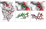 Attenuation of Acinetobacter baumannii virulence by inhibition of polyphosphate kinase 1 with repurposed drugs